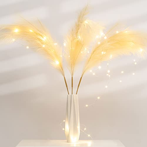 30 LED String Light & 43.3” Tall Pampas Grass